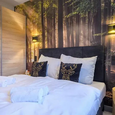 Apartamento Izerska Przygoda - 5d *